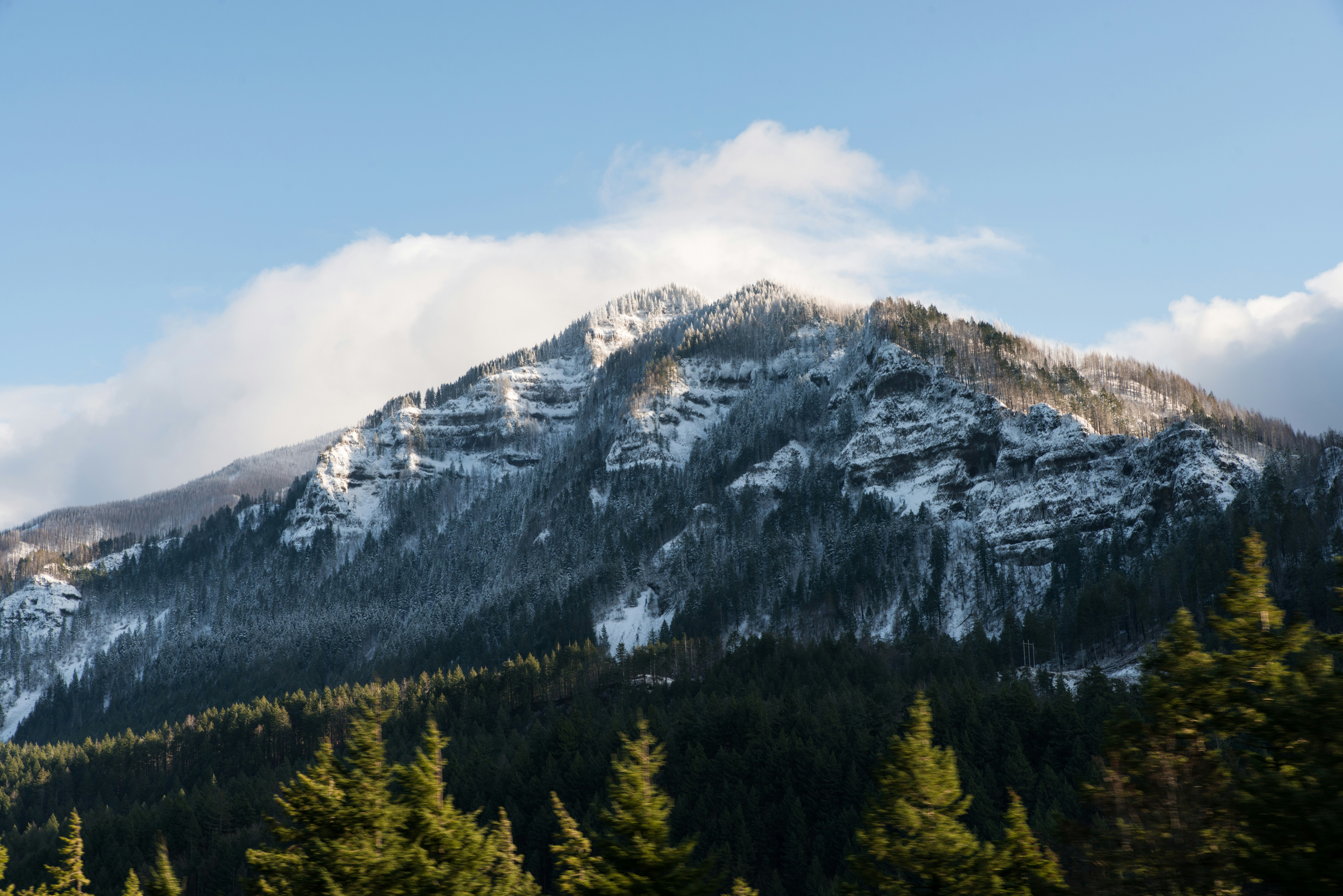 Photo by chamomileboi