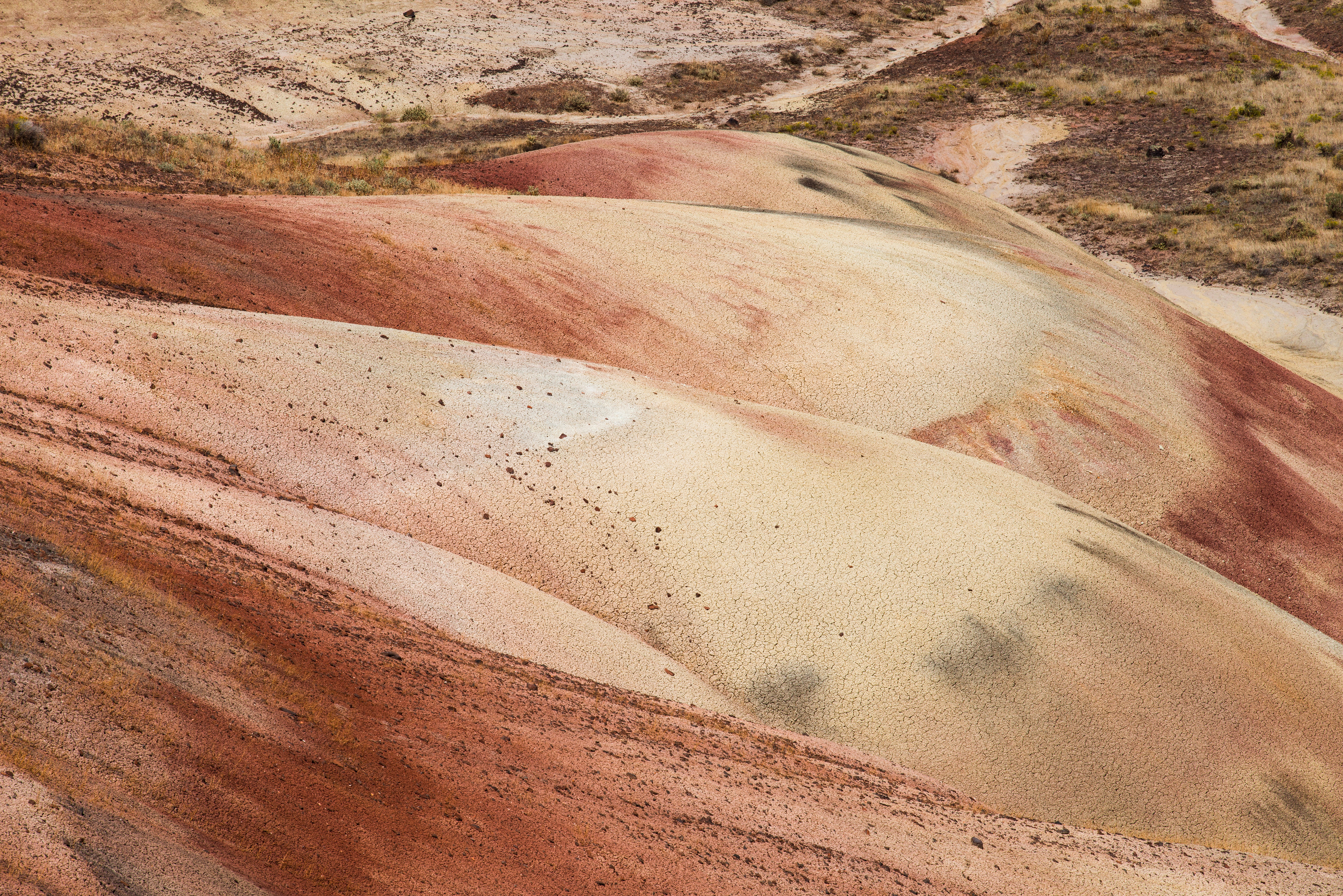 Photo by chamomileboi