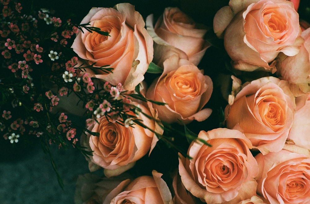 pink roses on black textile