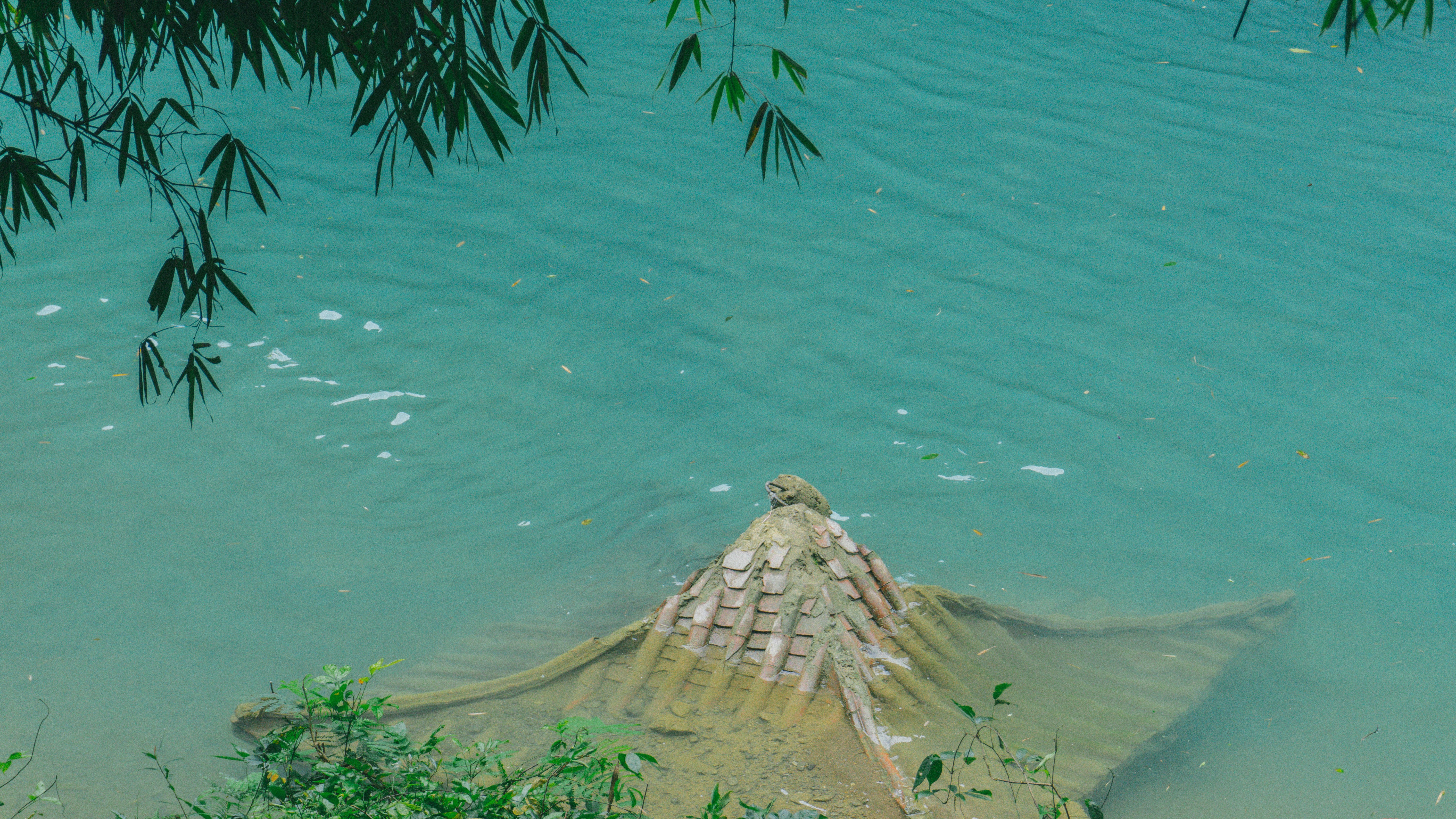 photo 1580244718770 49d6dae43d1f?ixlib=rb 4.0