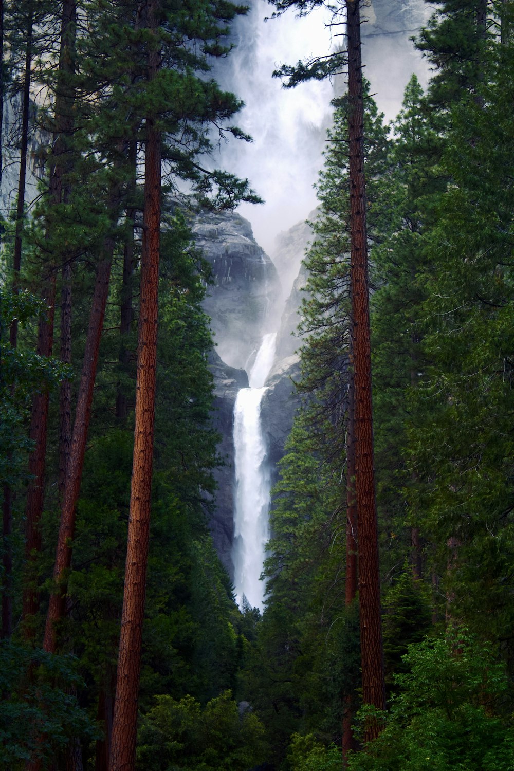 green and brown trees with water falls