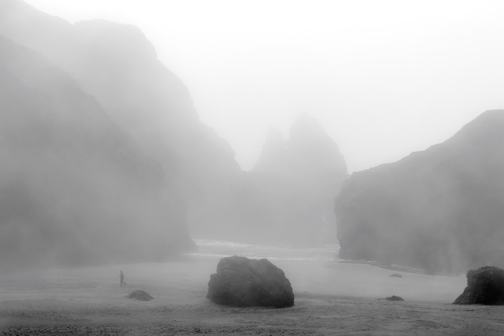 person walking on beach during foggy day