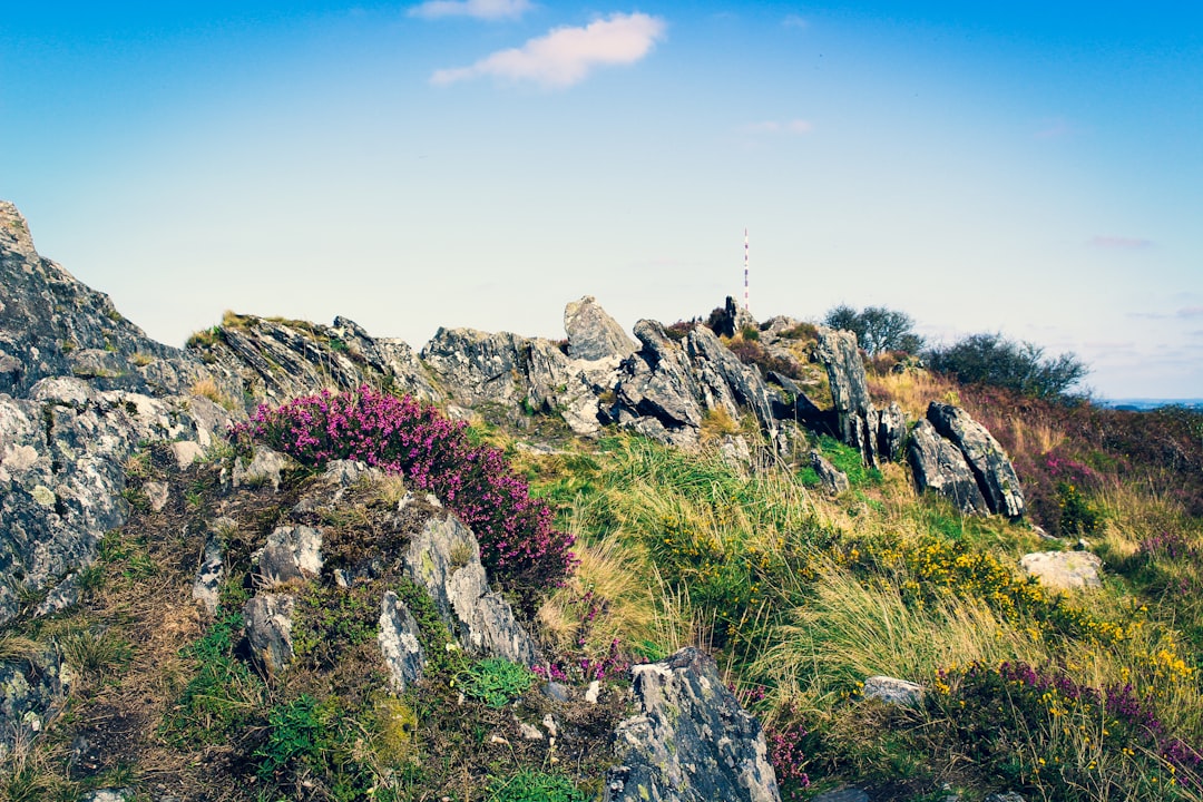 Hill photo spot Monts d'Arrée Roscoff