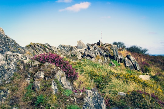 Monts d'Arrée things to do in Brignogan-Plage