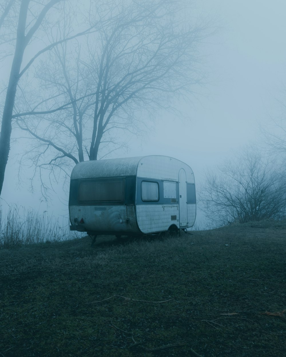 white van on green grass field