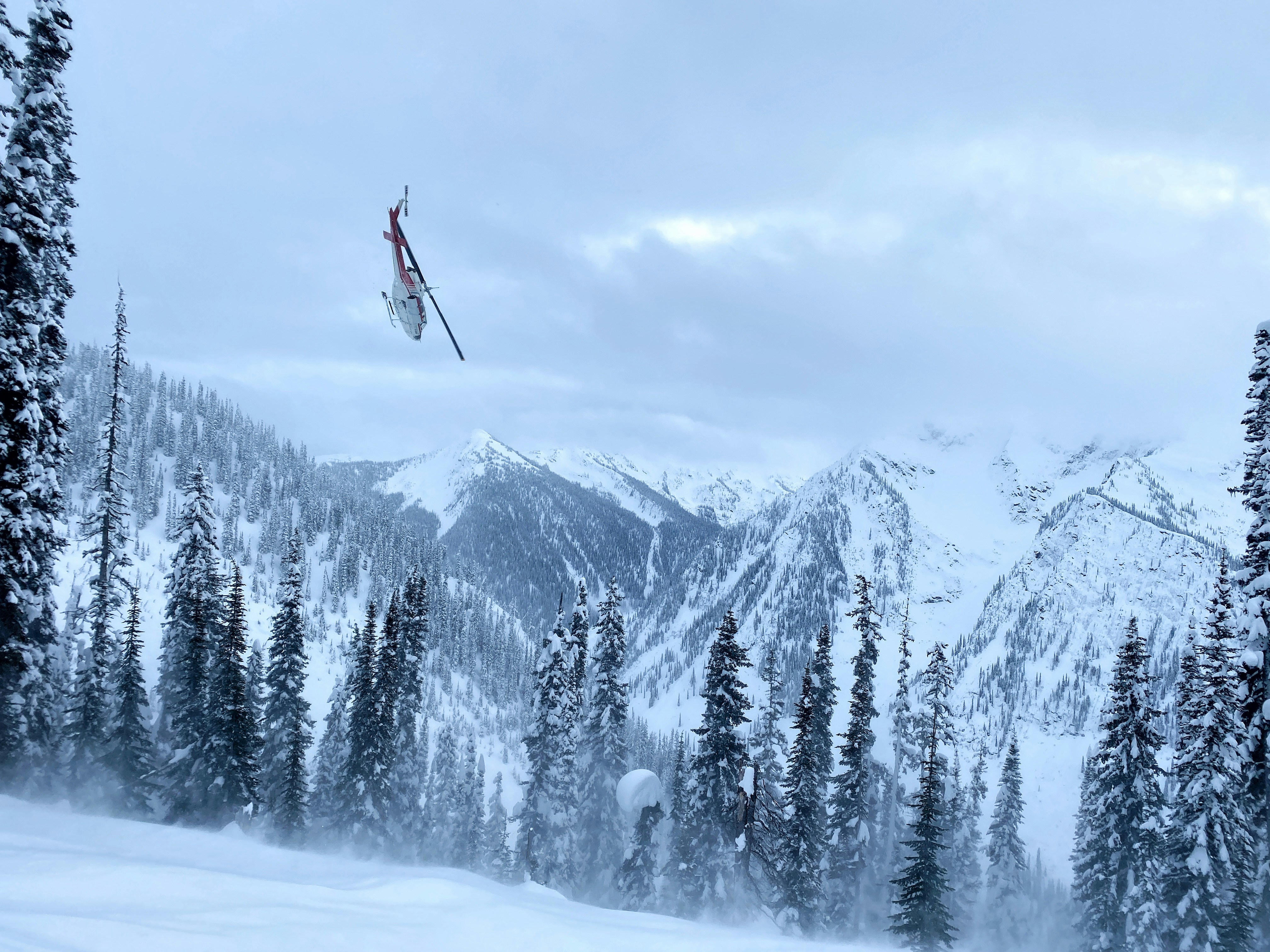 personne en veste rouge et pantalon noir chevauchant des lames de ski sur un sol enneigé près du vert