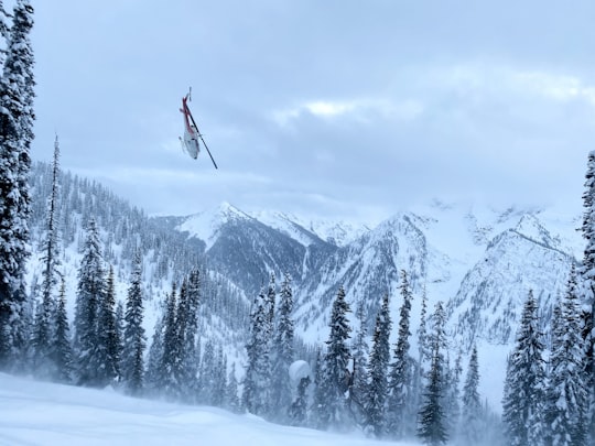 person in red jacket and black pants riding ski blades on snow covered ground near green in Columbia-Shuswap B Canada