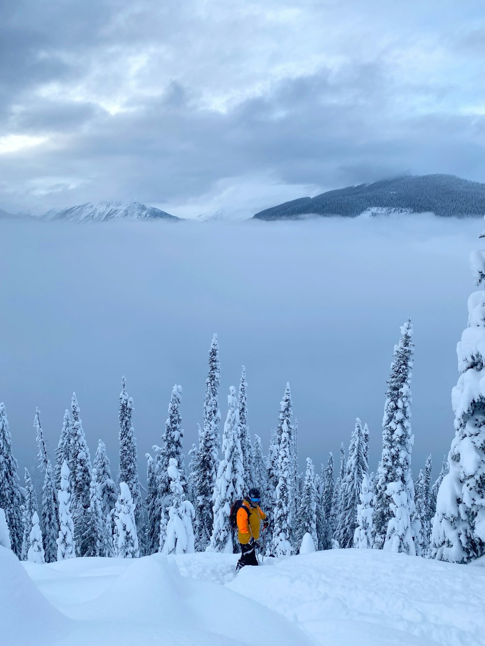 Persona in giacca gialla in piedi su un terreno coperto di neve durante il giorno