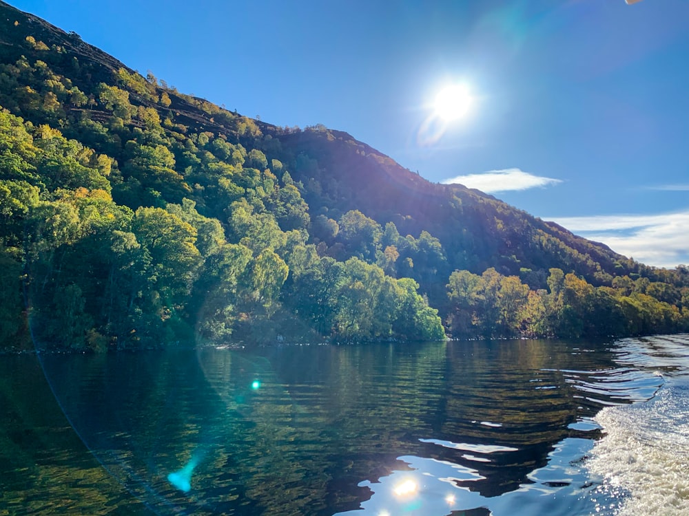 green trees on mountain beside river during daytime