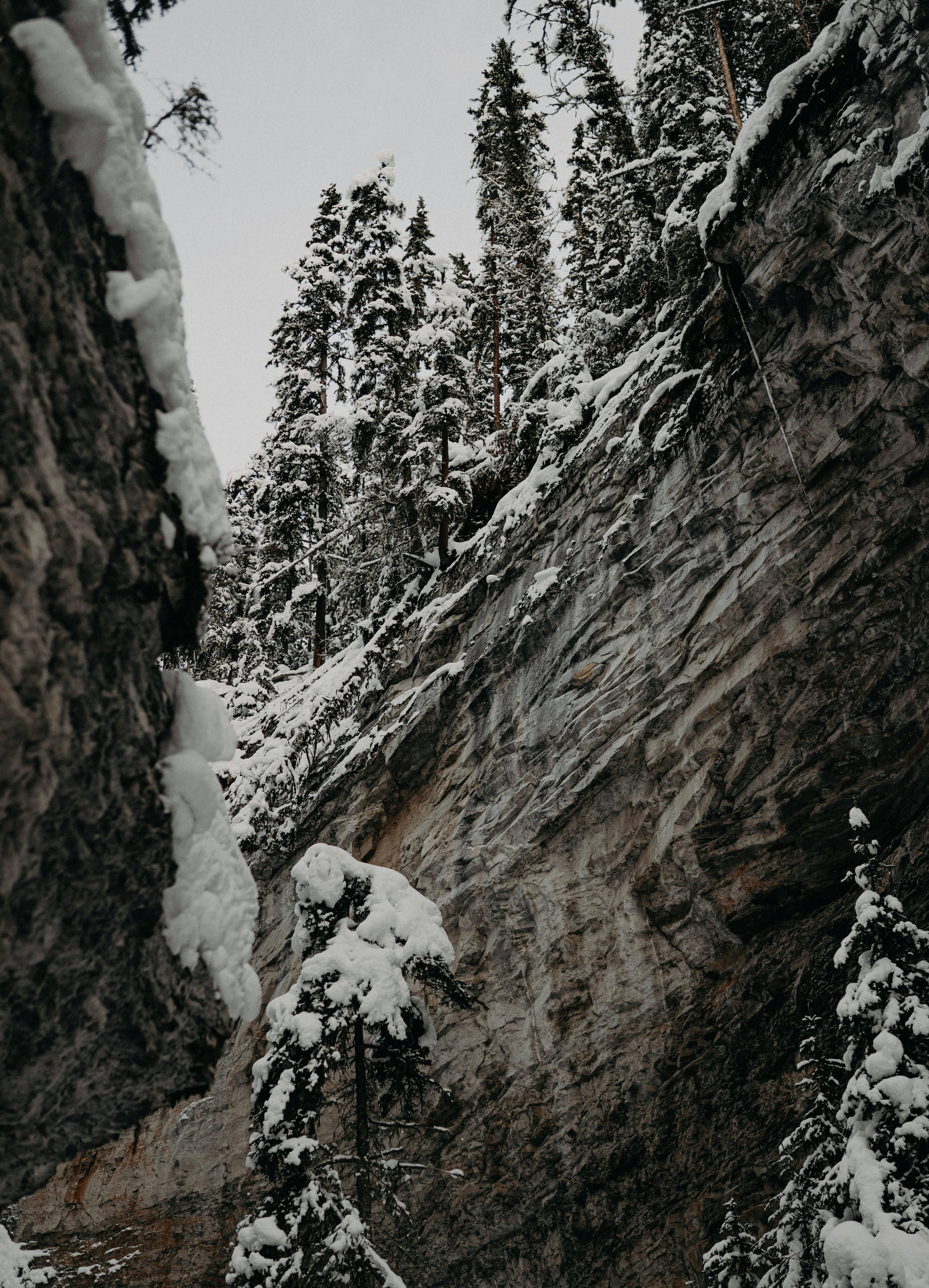 Banff Legacy Trail photo 2