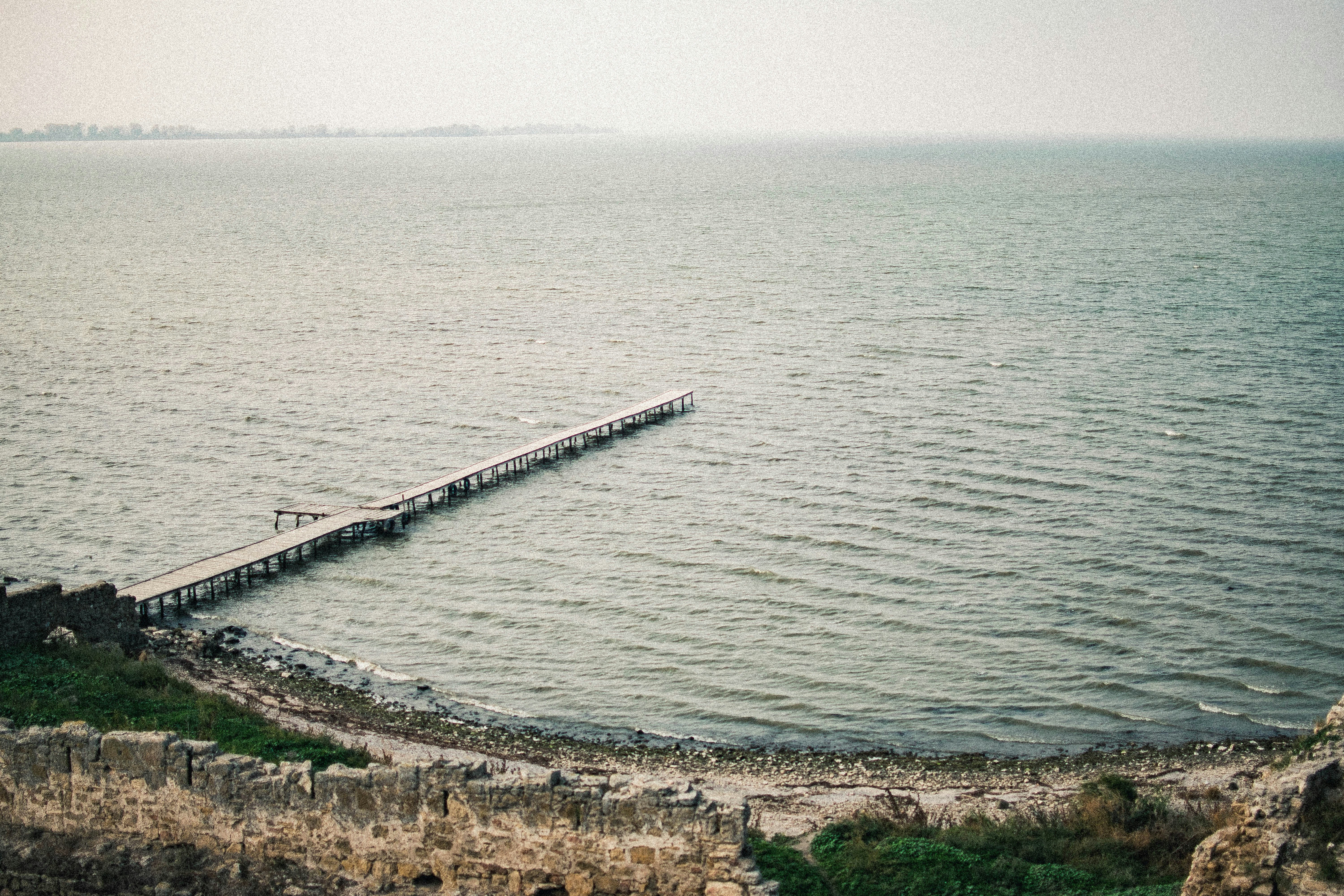 Photo by romanivna13