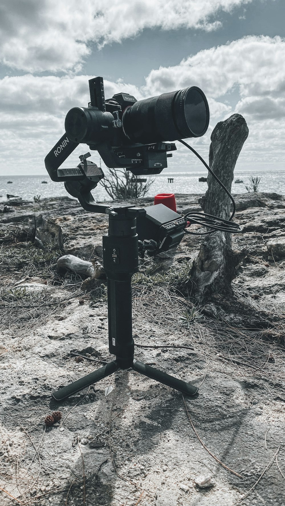black camera on tripod on rocky shore during daytime