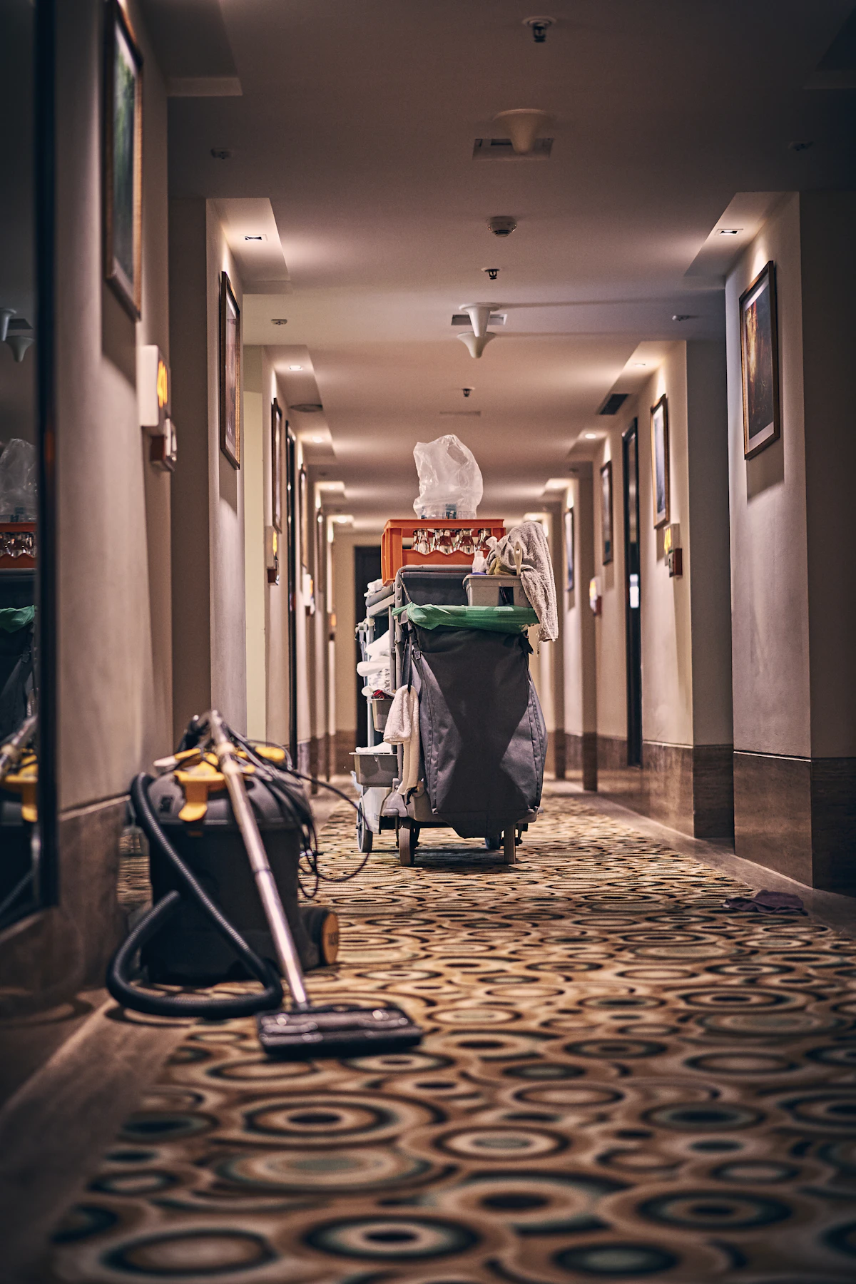 Carpet Cleaning