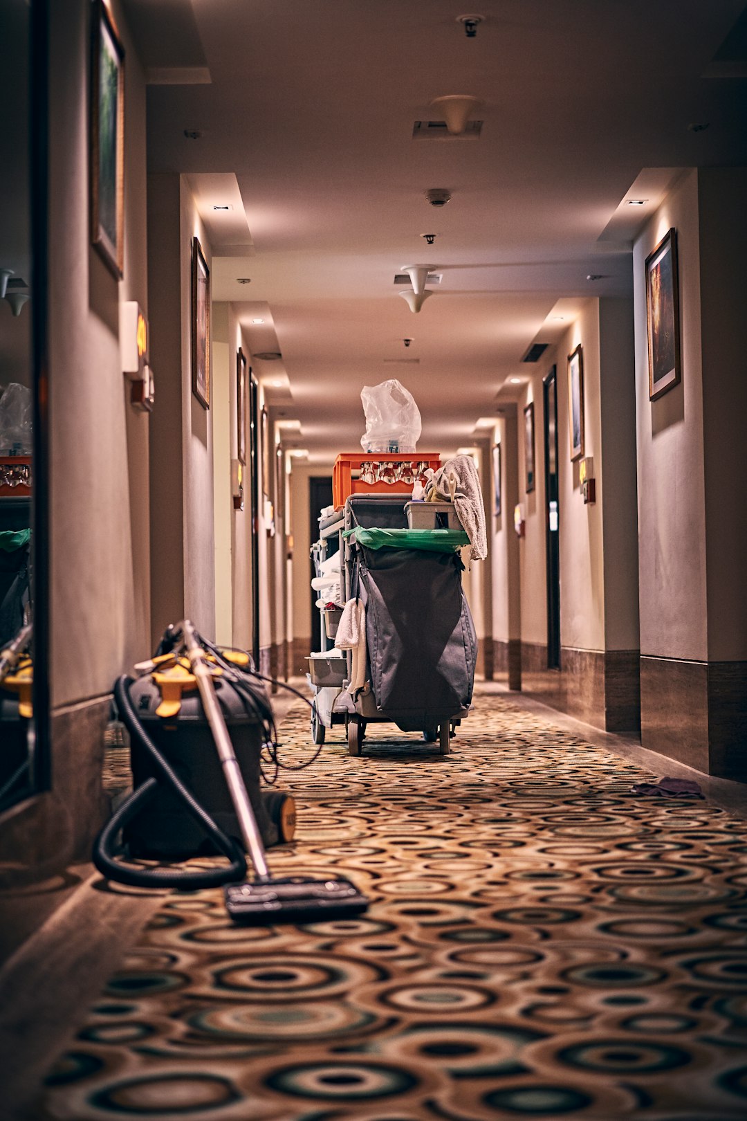 Hotel Cleaning