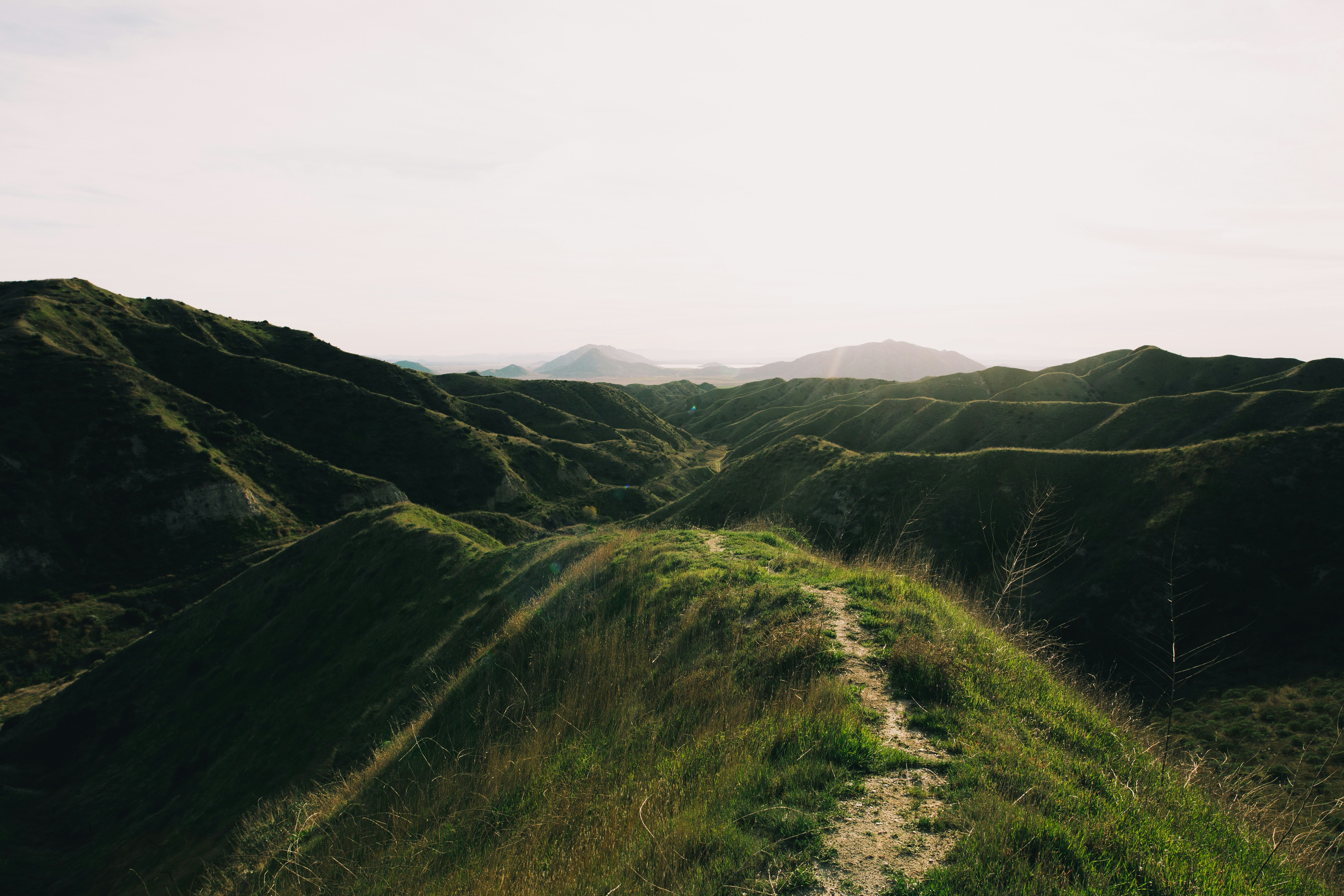 Photo by blakecheekk