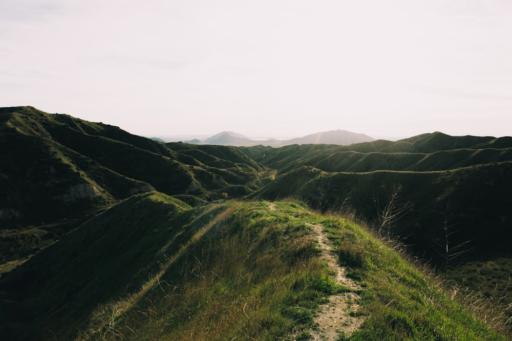 green grass field on mountain during daytime