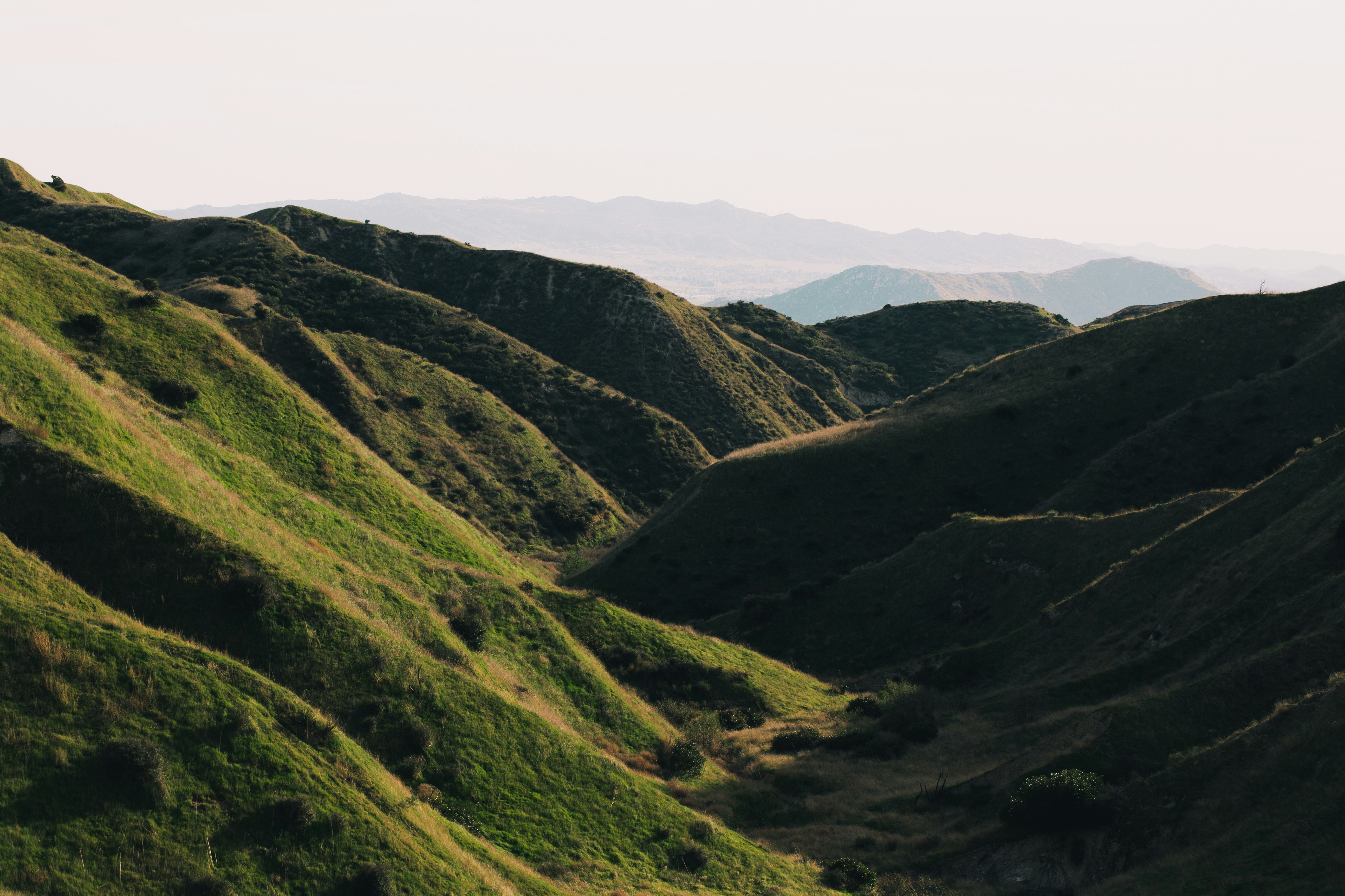 Photo by blakecheekk