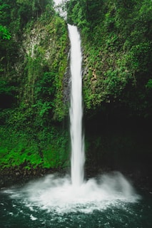 water falls in the middle of green trees
