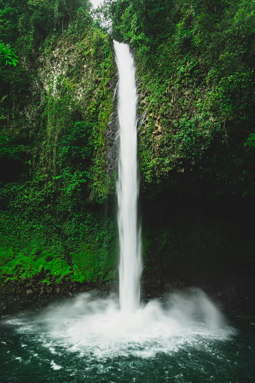 water falls in the middle of green trees