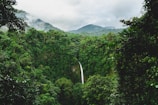 green trees on mountain under white clouds during daytime