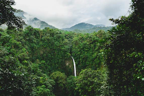 green trees on mountain under white clouds during daytime