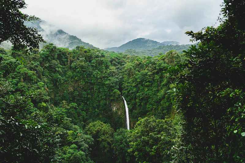 Lush green Costa Rican rainforest mountains under white clouds