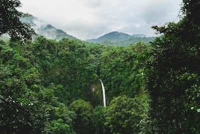 green trees on mountain under white clouds during daytime costa rica zoom background