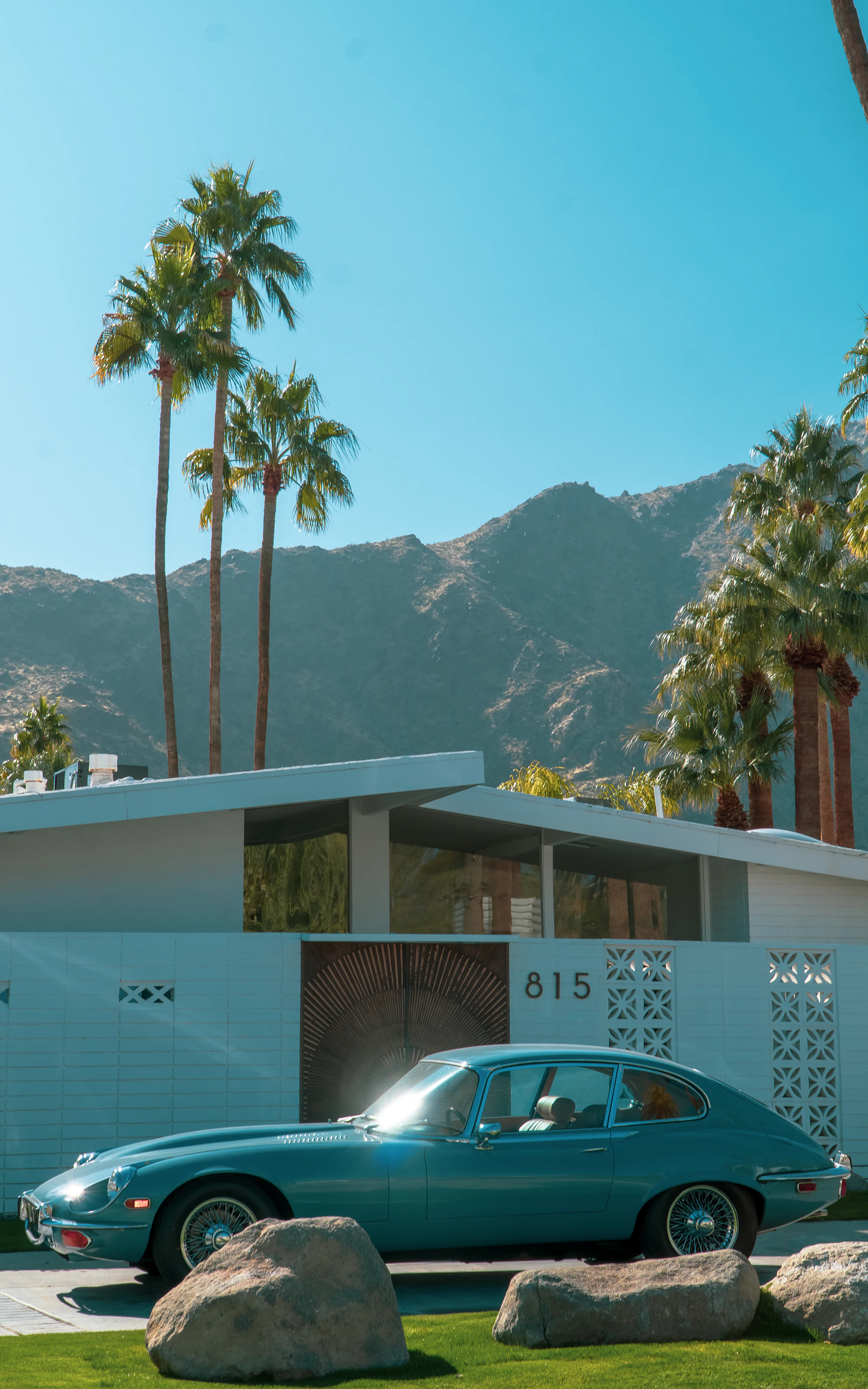 Palm trees and mountains in Palm Springs