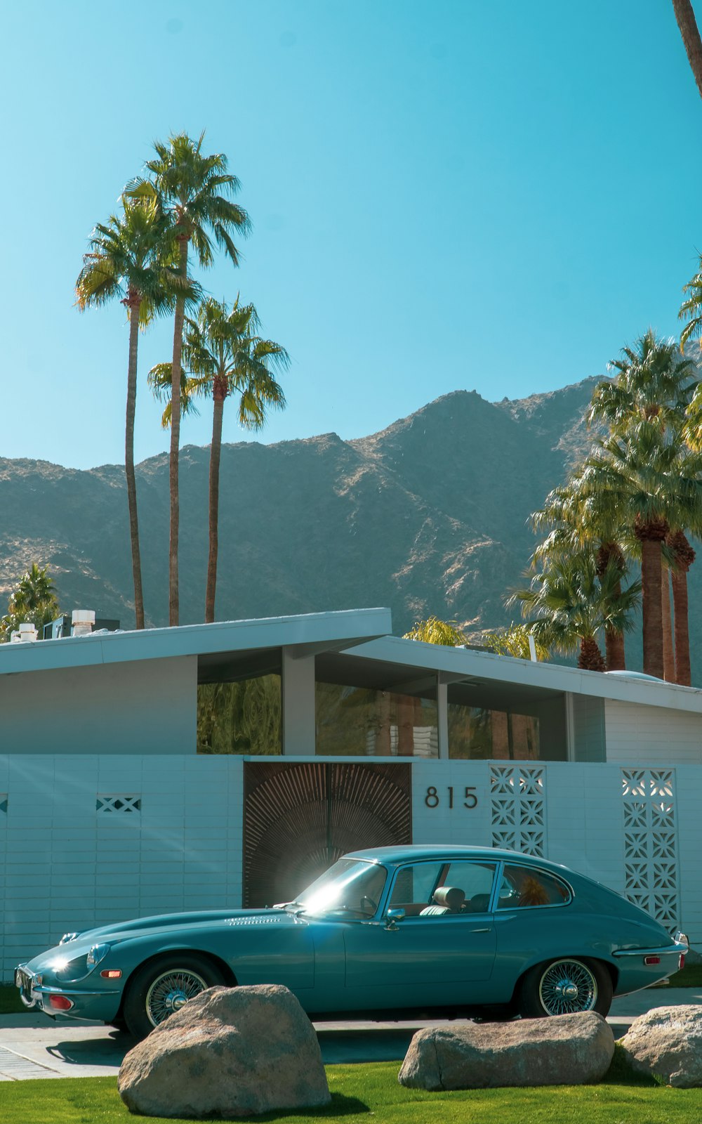 white car parked near palm tree during daytime