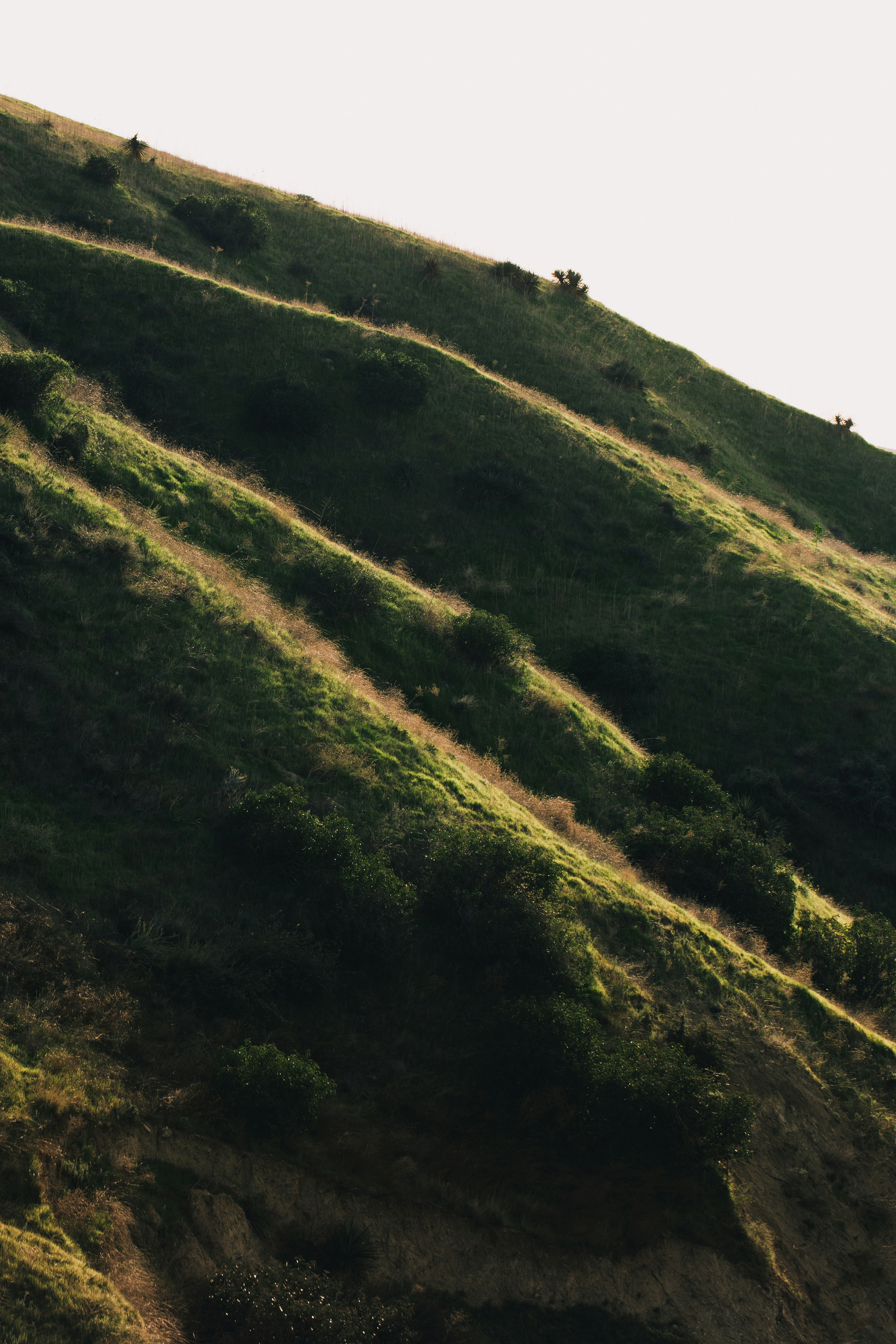 Photo by blakecheekk