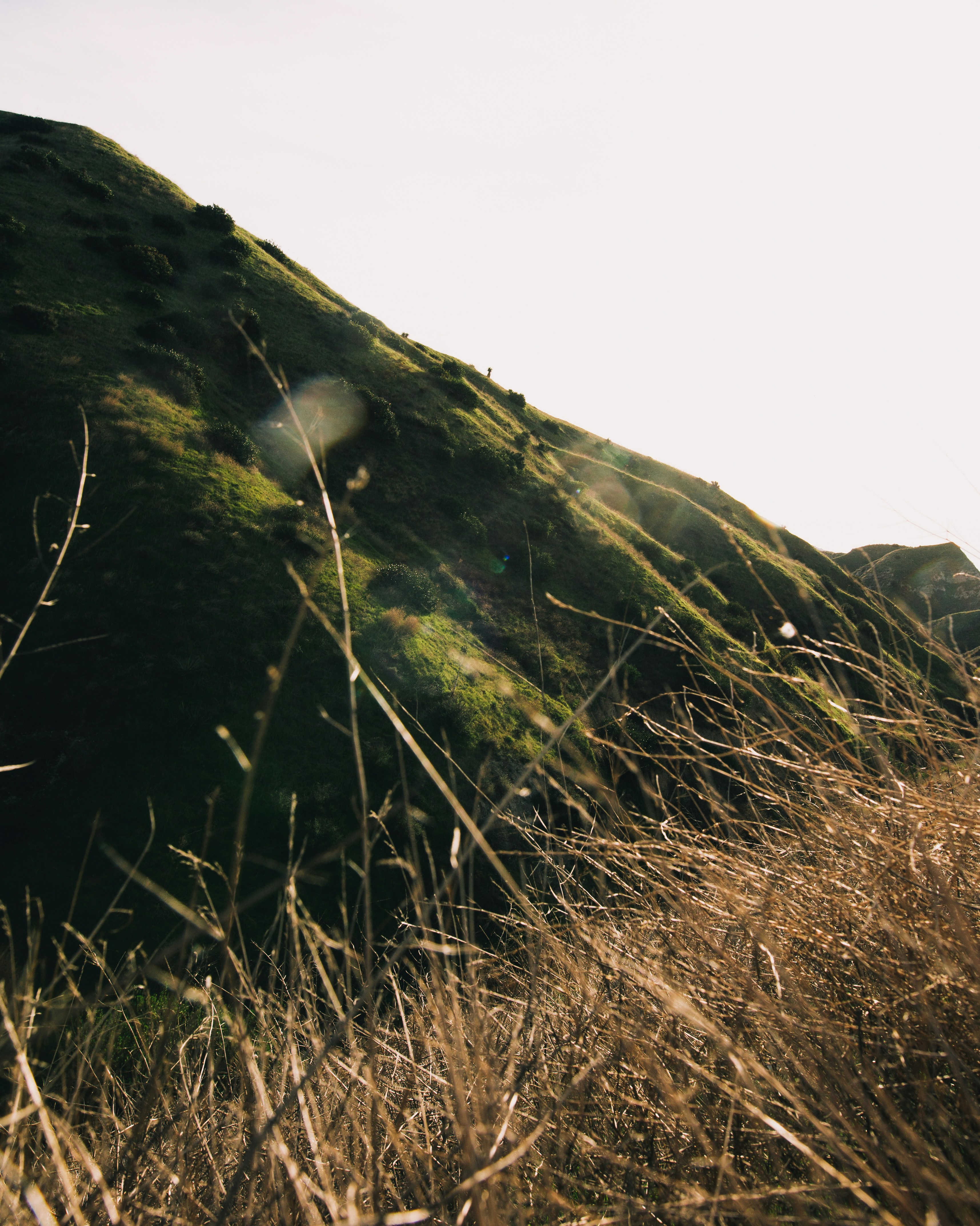 Photo by blakecheekk