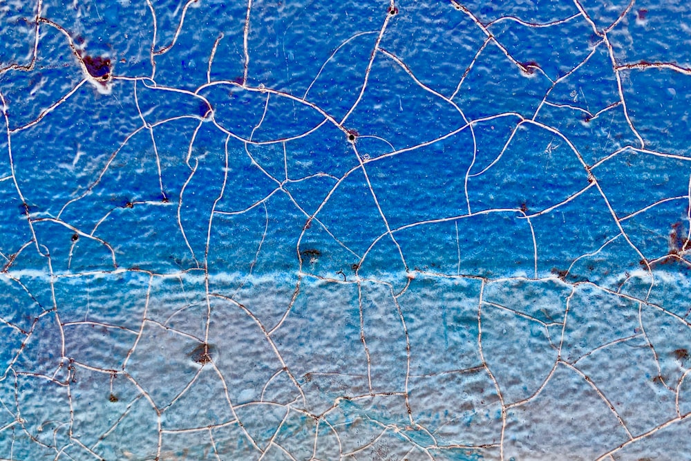 white and blue net on blue water