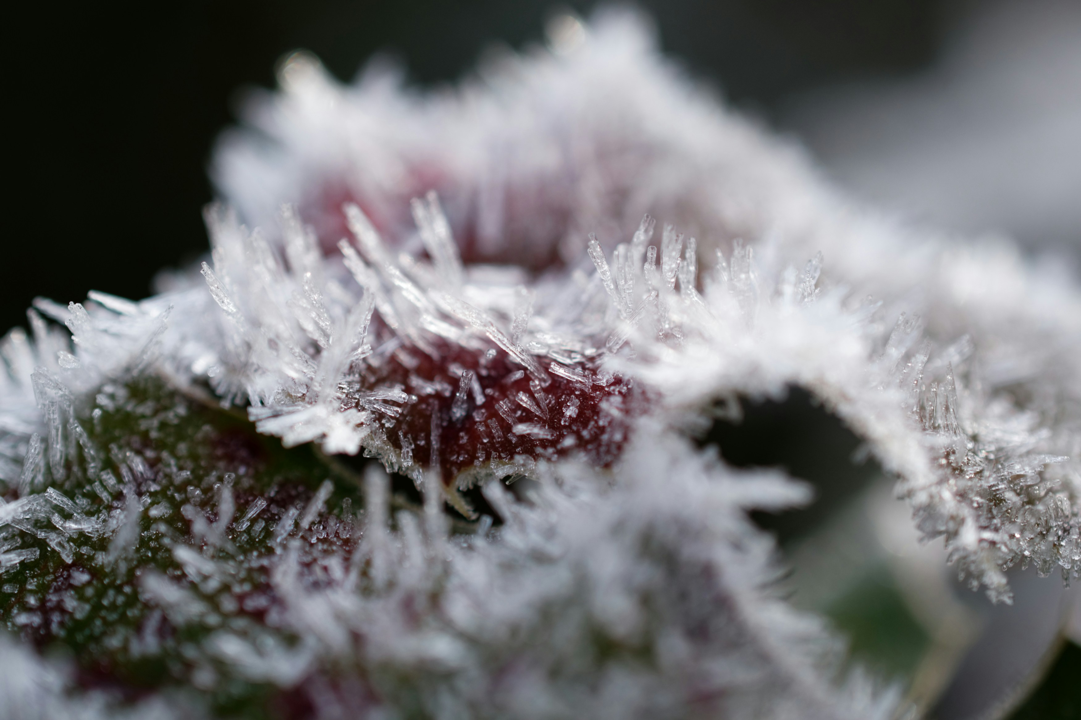 Photo by designbytholen