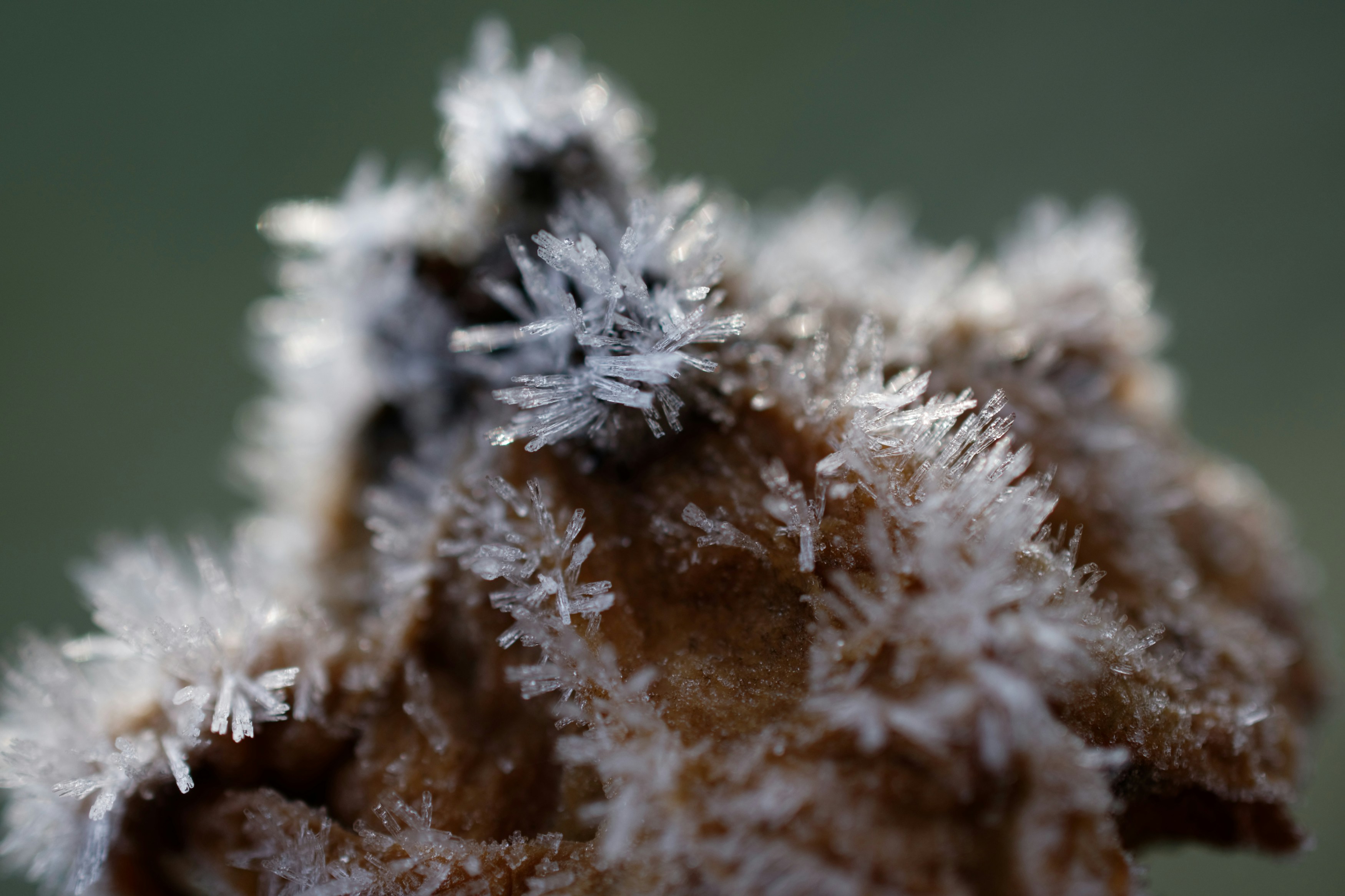 Photo by designbytholen