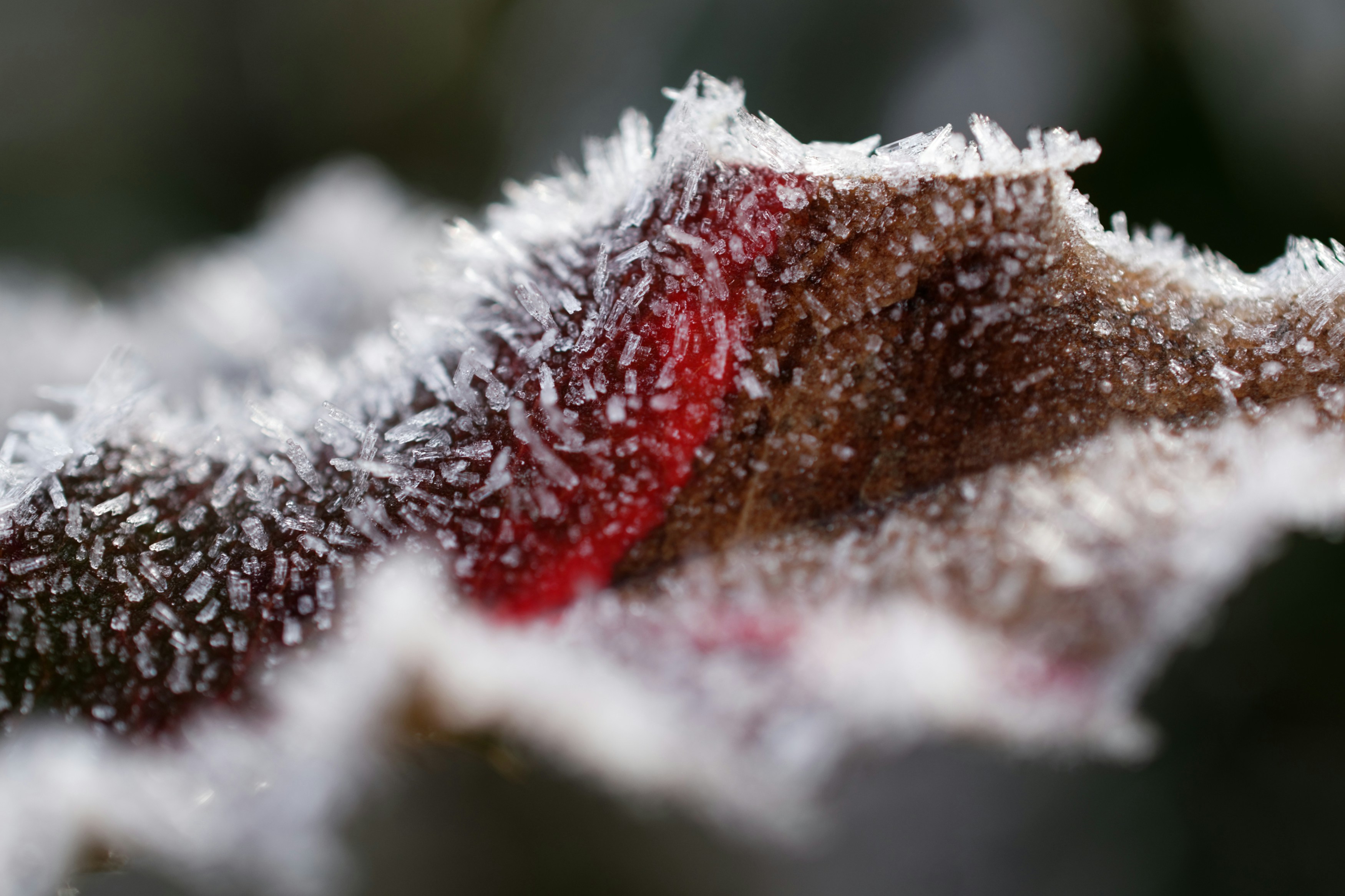 Photo by designbytholen