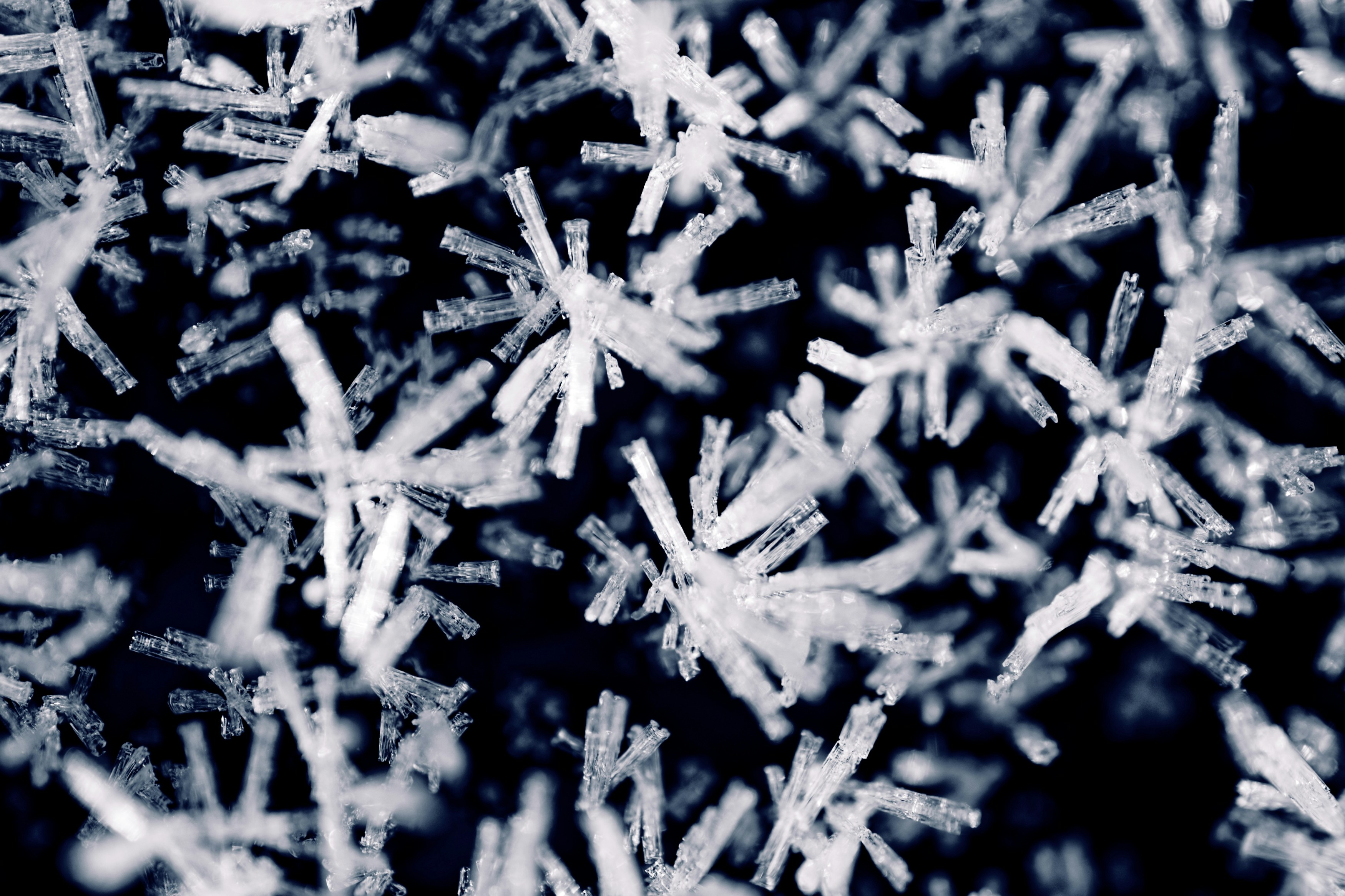 Photo by designbytholen