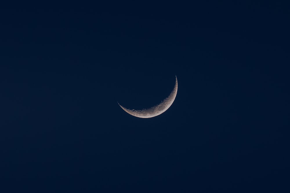 white and black crescent moon