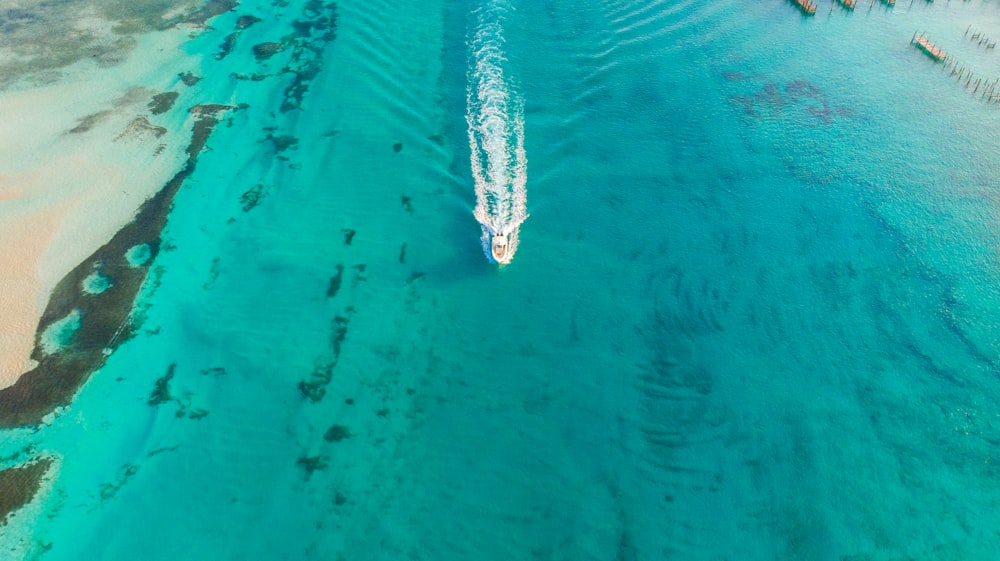 black and white boat on blue water