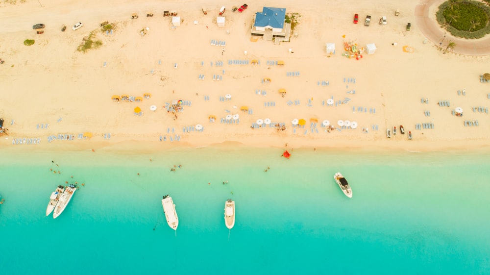 aerial view of people on beach during daytime