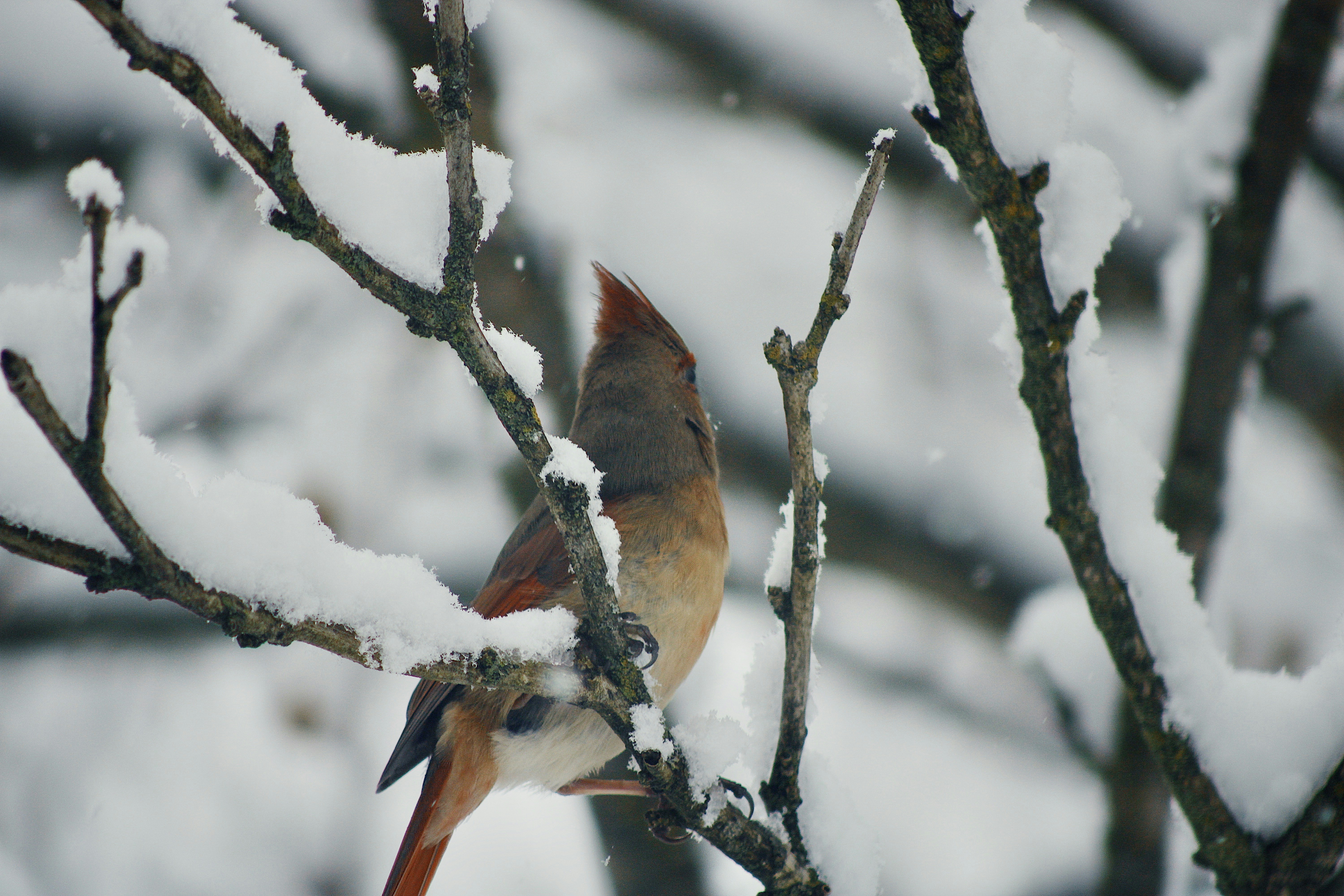 Photo by karleeleclair