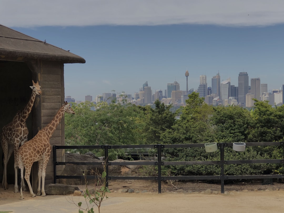 Wildlife photo spot Sydney Zoo Auburn Botanic Gardens