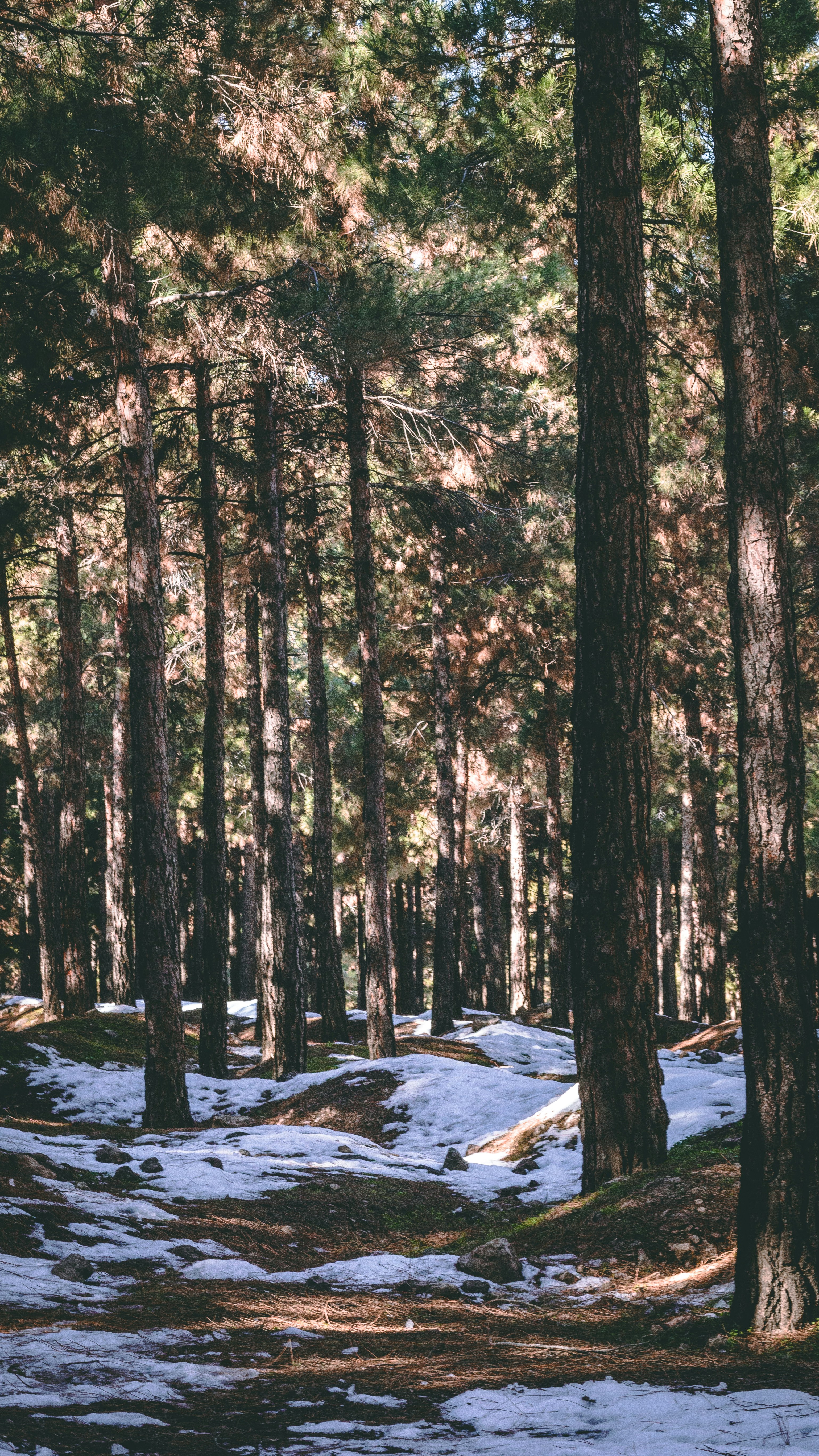 Photo by vihanyektania