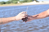 Two hands extend toward each other, one offering a traditional mate cup with a metal straw, against the backdrop of a rippling body of water and distant greenery.