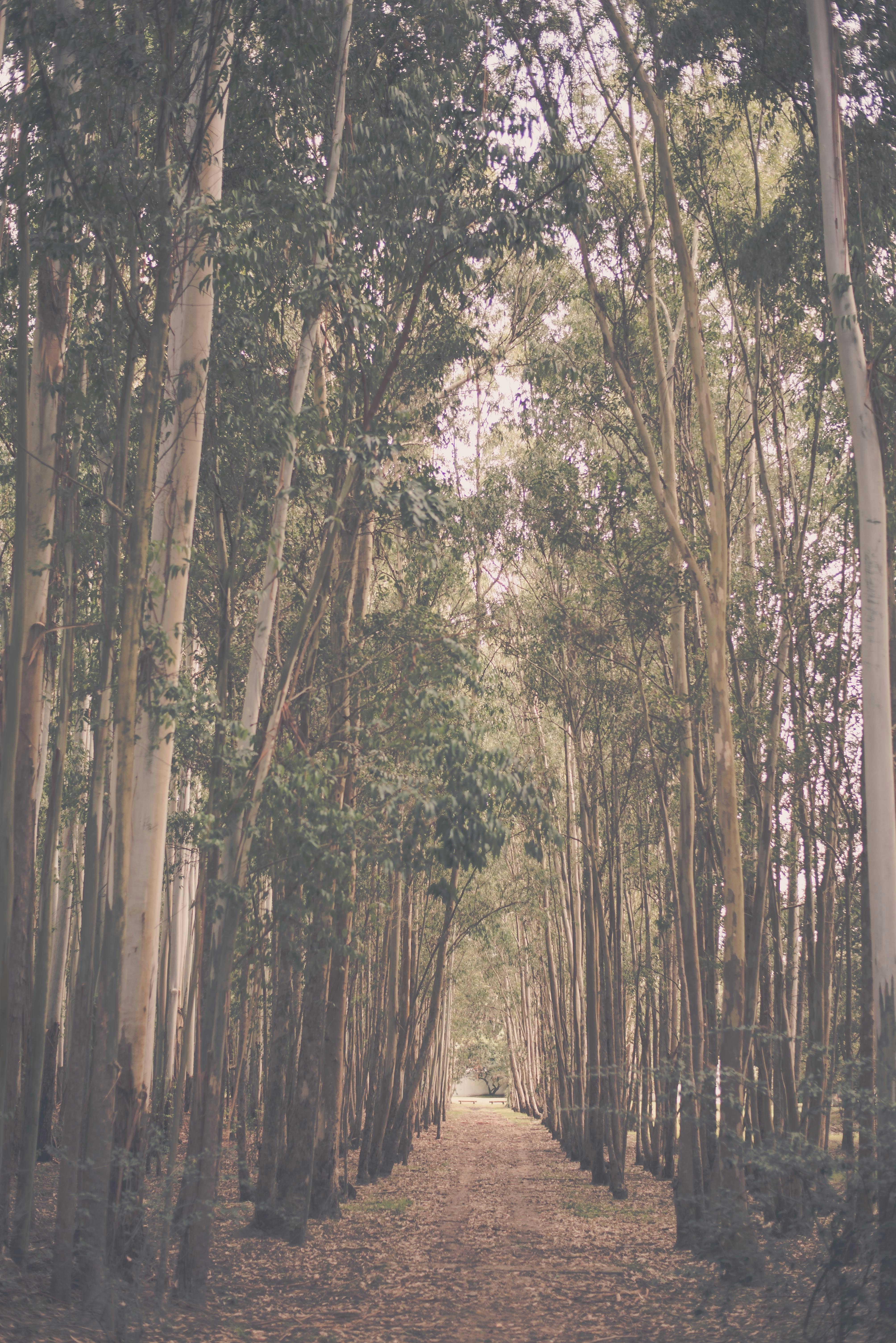 Photo by emilianobar