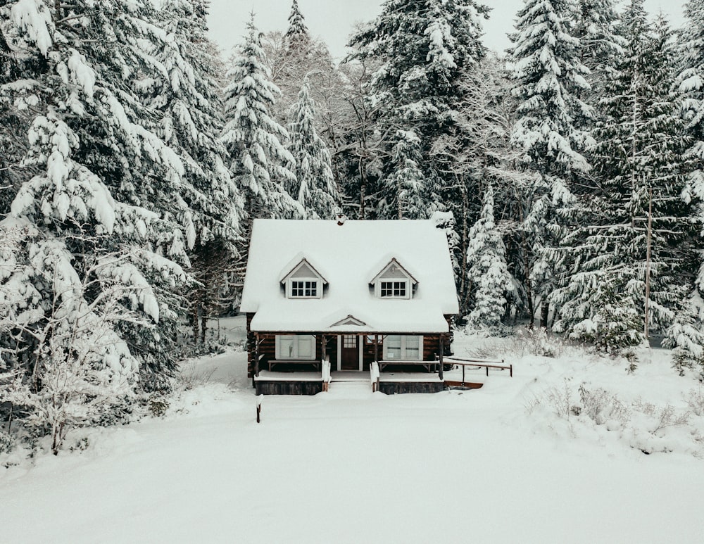 white and brown wooden house on snow covered ground