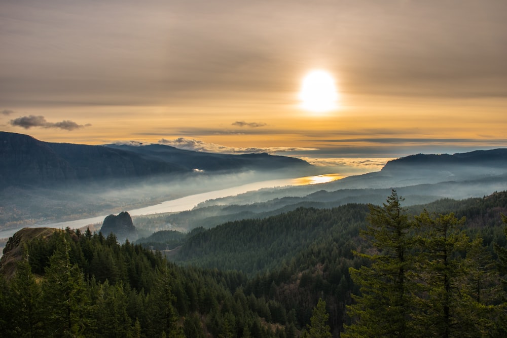 green trees on mountain during daytime