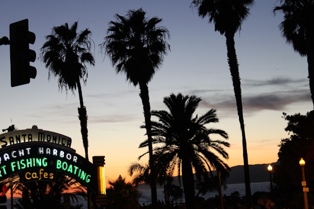A neon-lit California sunset over palm trees with a retro 1980s vibe.