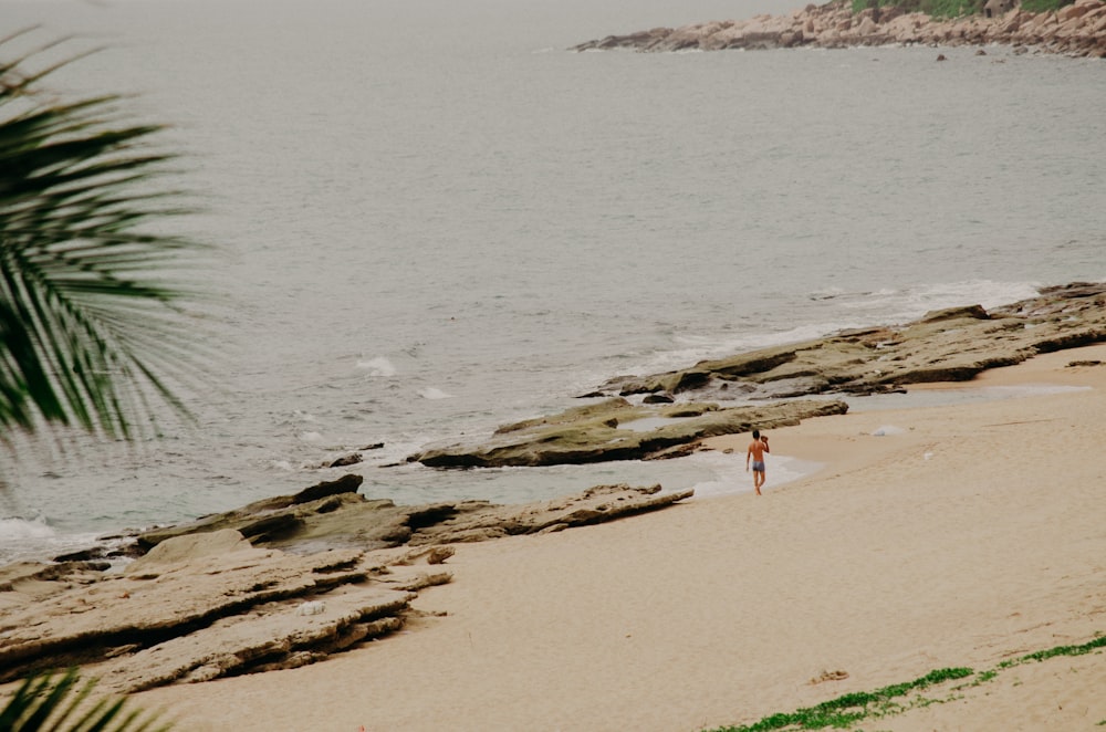 people on beach during daytime