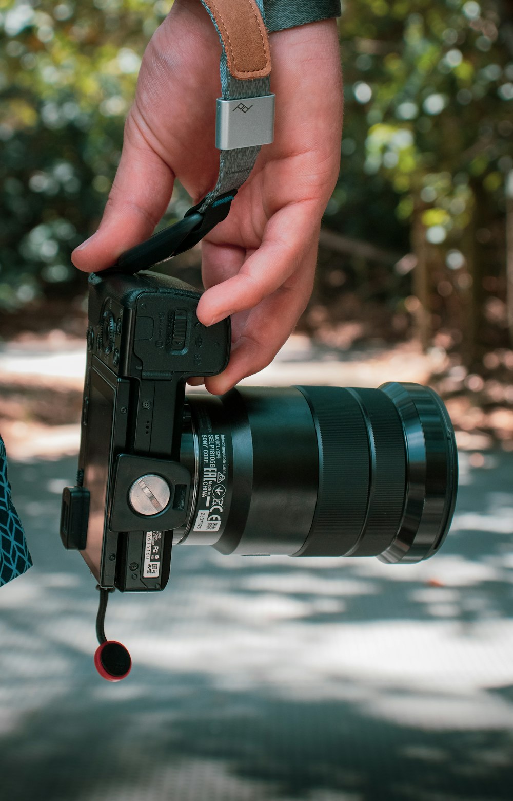 person holding black dslr camera