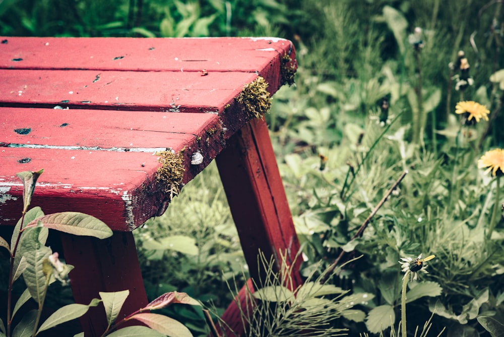 brown wooden bench near green grass during daytime